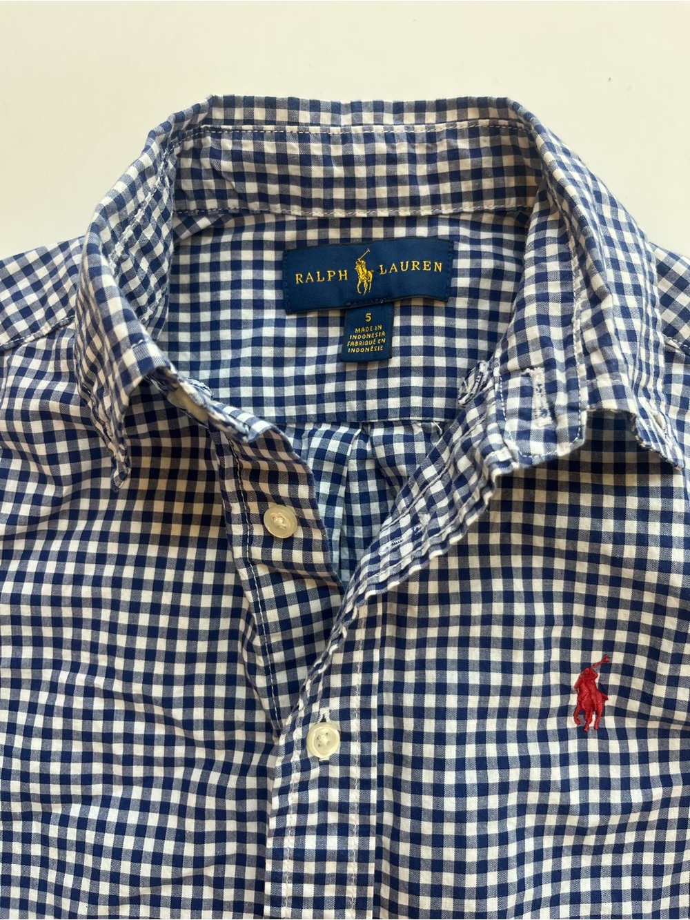 Ralph Lauren Blue and White Gingham Button-Down Shirt with Red Pony